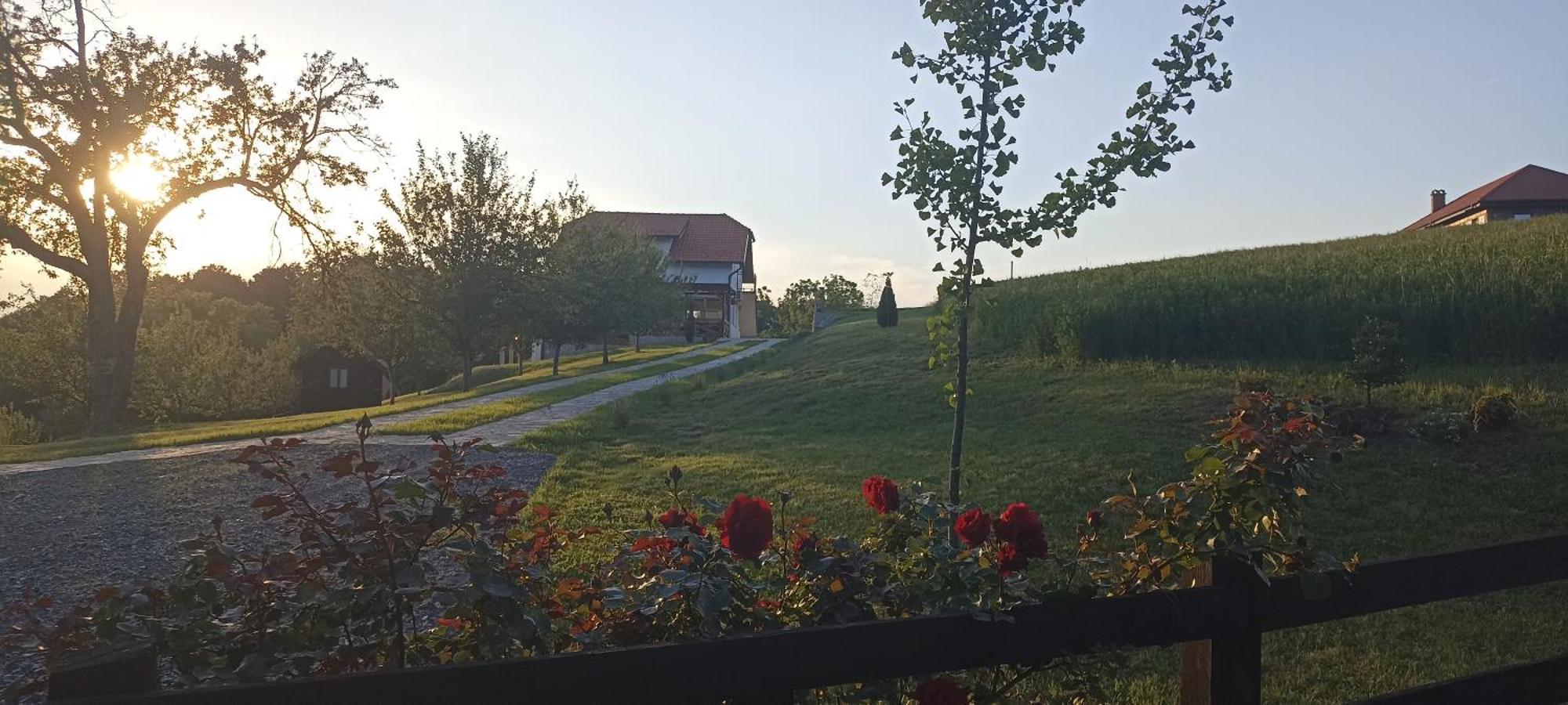 Stari Trsic Leilighet Eksteriør bilde